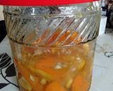 甘夏の発酵シロップ作り方38写真