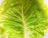 ロールキャベツ(残りはハンバーグ)作り方1写真