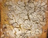 アーモンドリコッタケーキ作り方11写真