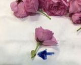 八重桜で桜湯作り方3写真