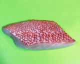 白身魚の味噌漬を刺身で作り方2写真