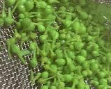 若葉の山椒味噌作り方5写真