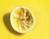 ペットボトルで本格派ジンフィズ作り方4写真