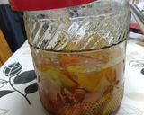 甘夏の発酵シロップ作り方40写真