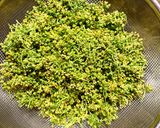 色を残した花山椒の塩漬け　保存法作り方1写真