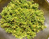 色を残した花山椒の塩漬け　保存法作り方2写真