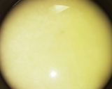 グリンピースご飯作り方7写真