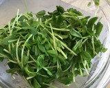 レンジで簡単　もやしと豆苗とツナのナムル作り方3写真