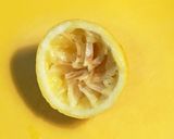 意味深カクテル、XYZ作り方3写真