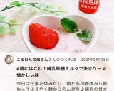 苺にはこれ！練乳、砂糖、ミルクで決まり〜作り方13写真