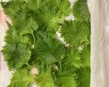簡単やみつき♡大葉のごま油醤油漬け作り方1写真