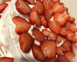 ケーキnoデコレーション　記録ｗ作り方33写真