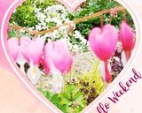 【簡単】わかめ（生わかめ）のごま炒め★作り方8写真