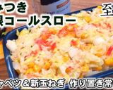 無限やみつきコールスロー春キャベツと新玉作り方3写真