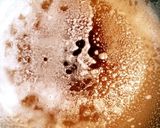 Tortilla Española作り方11写真