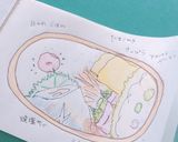 高校2年女子お弁当♥2021.04.07作り方6写真