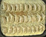 簡単チーズ羽根付き餃子～海苔を添えて～作り方4写真