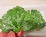 ユキノシタの天ぷら作り方1写真