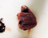 臭くない！鶏レバーのレバニラ炒め作り方11写真