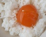 冷凍卵黄のめんつゆ漬け作り方3写真