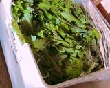 よもぎパウダーの作り方　茹でるタイプ作り方1写真