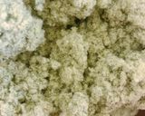 よもぎパウダーの作り方　茹でるタイプ作り方9写真