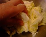 白菜のおろし和え作り方1写真