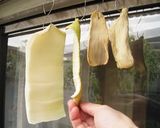 カブの皮でスルメ作り方2写真