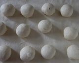 桜の塩パン作り方5写真