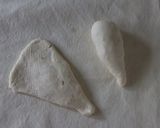 桜の塩パン作り方6写真