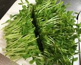 簡単！シャキシャキ新玉ねぎと豆苗のナムル作り方3写真
