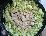 簡単節約☆鶏胸肉とキャベツのトマト煮。作り方7写真