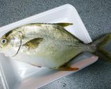 まながつおの中華蒸し作り方1写真