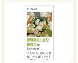 栄養満点!彩り白和え作り方5写真
