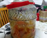 甘夏の発酵シロップ作り方52写真