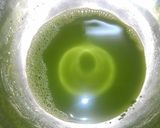 嚥下食★桜と抹茶の二色羊羮風作り方1写真