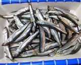 頭から尾まで丸ごと食べる♡稚鮎のから揚げ作り方1写真