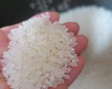 ちょいまんま無洗米雪若丸たたみおにぎり作り方2写真