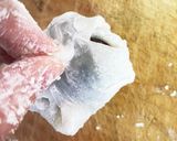 簡単いちご大福 作り方16写真