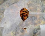 ドライパックで簡単！ひじきと大豆の煮物作り方4写真