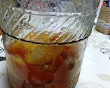 甘夏の発酵シロップ作り方53写真