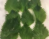 ささみと大葉のチーズ春巻き作り方3写真