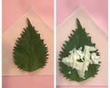 ささみと大葉のチーズ春巻き作り方5写真
