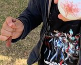 イースターエッグ 卵の着色方法作り方2写真