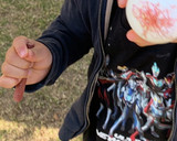イースターエッグ　卵の着色方法作り方2写真