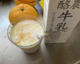 甘夏ラッシー作り方5写真