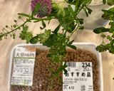 大豆ミートと蕎麦粉のラザニア作り方1写真