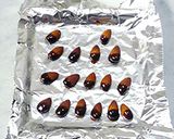 デコレーションケーキ*チョコレートケーキ作り方19写真