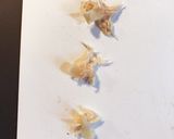 旦那の下拵え 鶏ささみほぐし作り方5写真