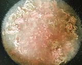 冷凍可☆簡単☆満足そぼろ作り方1写真